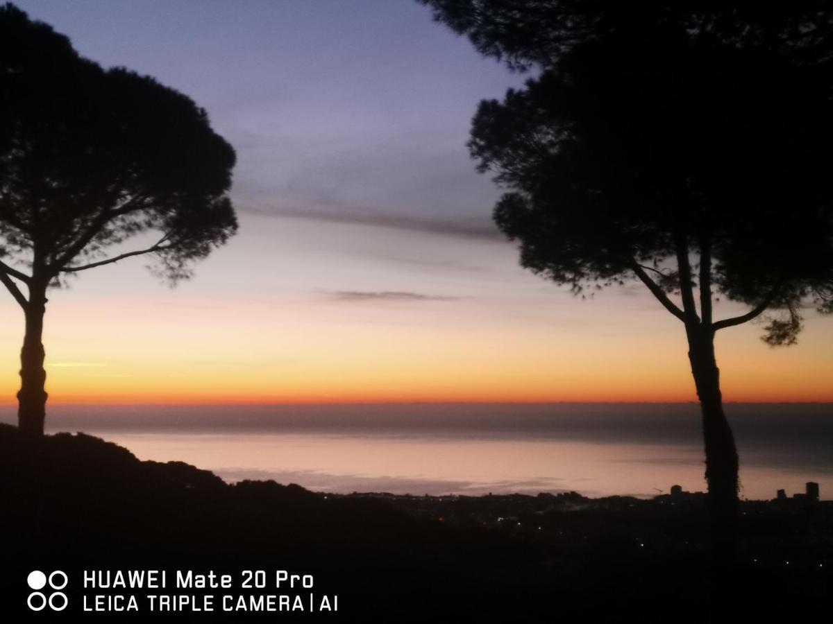 Villa Maresme & Villa Rosa Mataró Exterior foto
